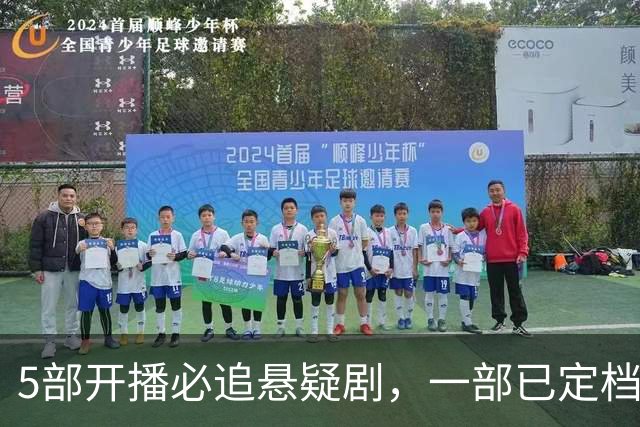 5部开播必追悬疑剧，一部已定档，王凯井柏然蒋欣孙千实力演员