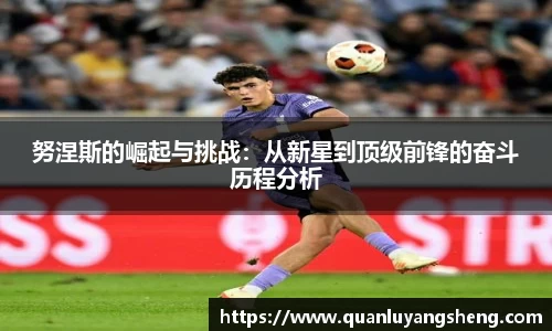努涅斯的崛起与挑战：从新星到顶级前锋的奋斗历程分析